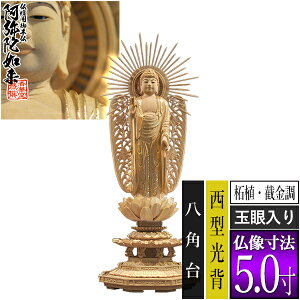 yؓdp䕧zyy^@()pz ѐA[B ] [ʊ] 5.0^w p [S312×120×s105mm]y^@{莛h/ɔ@/ɗy[ڈF