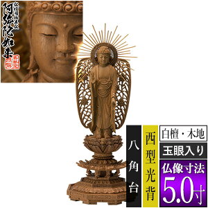 yؓdp䕧zyy^@()pz h(ؒn) [ʊ] 5.0^w p [S312×120×s105mm]y^@{莛h/ɔ@/ɗy[ڈFʏ3`