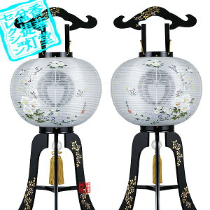 y~񓔁zΕs(3{) Ɩ {GE{G 12[˔Eގѕt] (21g)ؐ/d[GFu]90cm×Α()37cm{AS}y[ڈFʏ2TԌ㔭z