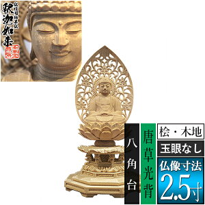 yؓdp䕧zyT@pz߉ Oؐ(ؒn)ʊᖳ 2.5w p [S257×124×s110mm]߉ޔ@/߉ޖ/߉ލ/߉ލy[ڈFʏ3`5cƓ