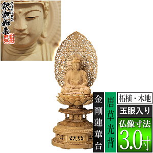 yؓdp䕧zyT@pz߉ ѐA(ؒn) [ʊ] 3.0w @ؑ [S350×146×s134mm]߉ޔ@/߉ޖ/߉ލ/߉ލy[ڈFʏ3`5c