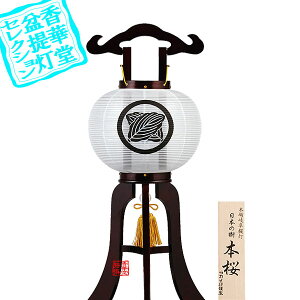 y~񓔁zs(3{) Ɩ w{̎xǂ8 {ؐ[}UN]/60cm×Α܌a()24cm{AS}y[ڈFʏ2TԌ㔭z