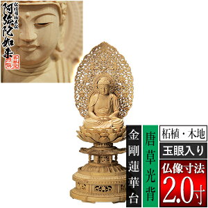 �y���ؓ�������d�p�䕧���z�y�V��@�p�z����� �ѐA��(�ؒn) [�ʊ����] 2.0���������w �����@�ؑ� [�S��245×��110×���s95mm]����ɔ@��/����ɕ�/����ɍ���/����ɍ����y�[���ڈ��F�ʏ�3