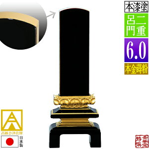 y{zy앪 㖳zÈʔv h dC {(ʕ)6.0F27.6cmy[ڈFʏ12`14cƓz
