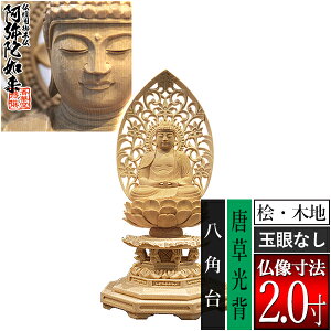 yؓdp䕧zyV@pz Oؐ(ؒn)ʊᖳ 2.0w p [S204×100×s90mm]ɔ@/ɕ/ɍ/ɍy[ڈFʏ3`5c