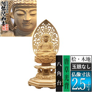 yؓdp䕧zyV@pz Oؐ(ؒn)ʊᖳ 2.5w p [S257×124×s110mm]ɔ@/ɕ/ɍ/ɍy[ڈFʏ3`5c