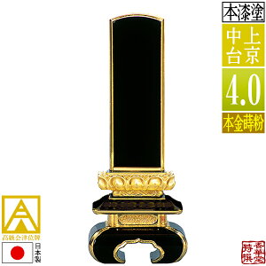 y{zy앪 㖳zÈʔv h ㋞ {(ʕ)4.0F19.4cmy[ڈFʏ12`14cƓz