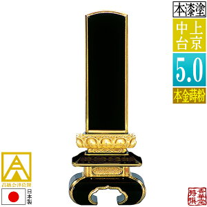 y{zy앪 㖳zÈʔv h ㋞ {(ʕ)5.0F23.7cmy[ڈFʏ12`14cƓz