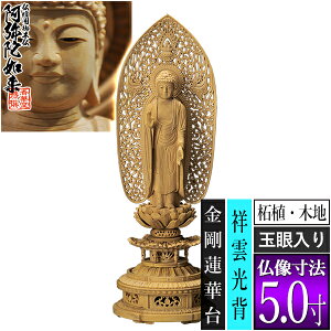 yؓdp䕧zyy@pzM ѐA(ؒn) [ʊ] 5.0M^ˉ_w @ؑ [S370×126×s117mm]ɔ@/ɗy[ڈFʏ3`5cƓz