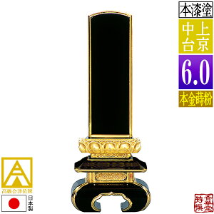 y{zy앪 㖳zÈʔv h ㋞ {(ʕ)6.0F27.8cmy[ڈFʏ12`14cƓz