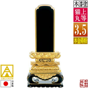 y{zy앪 㖳zÈʔv 㓙L {(ʕ)3.5F18.7cmy[ڈFʏ12`14cƓz