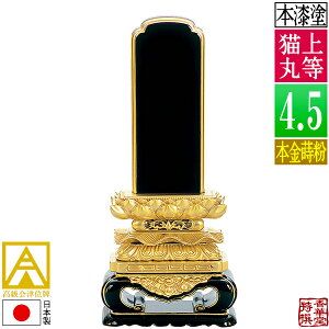 y{zy앪 㖳zÈʔv 㓙L {(ʕ)4.5F23.1cmy[ڈFʏ12`14cƓz