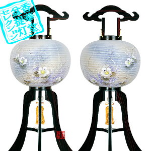 y~񓔁zΕs(3{) yXs ɑh10 (21g)ؐ[ɑEh˔]/d[GFu]78cm×Α܌a()31cm{AS}y[ڈFʏ3`5cƓz