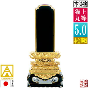 y{zy앪 㖳zÈʔv 㓙L {(ʕ)5.0F26.3cmy[ڈFʏ12`14cƓz