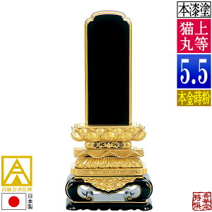 y{zy앪 㖳zÈʔv 㓙L {(ʕ)5.5F27.9cmy[ڈFʏ12`14cƓz