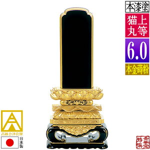 y{zy앪 㖳zÈʔv 㓙L {(ʕ)6.0F30.4cmy[ڈFʏ12`14cƓz