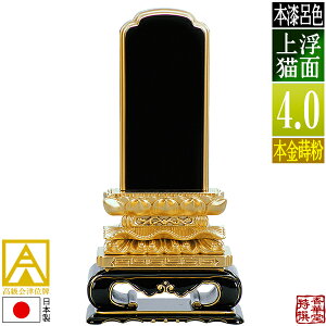 y{zy앪 㖳zÈʔv [ōi]CF ʏL {(ʕ)4.0F21.5cmy[ڈFʏ12`14cƓz