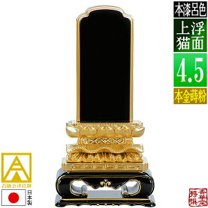 y{zy앪 㖳zÈʔv [ōi]CF ʏL {(ʕ)4.5 F23.5cmy[ڈFʏ12`14cƓz