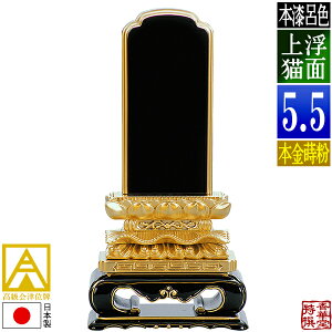y{zy앪 㖳zÈʔv [ōi]CF ʏL {(ʕ)5.5 F28.3cmy[ڈFʏ12`14cƓz