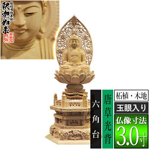 yؓdp䕧zyT@pz߉ ѐA(ؒn) [ʊ] 3.0w Zp [S341×150×s118mm]߉ޔ@/߉ޖ/߉ލ/߉ލy[ڈFʏ3`5cƓ