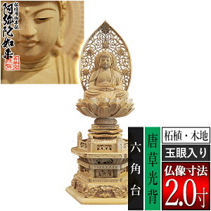 �y���ؓ�������d�p�䕧���z�y�V��@�p�z����� �ѐA��(�ؒn) [�ʊ����] 2.0���������w �Z�p�� [�S��252×��115×���s88mm]����ɔ@��/����ɕ�/����ɍ���/����ɍ����y�[���ڈ��F�ʏ�3�`5�c