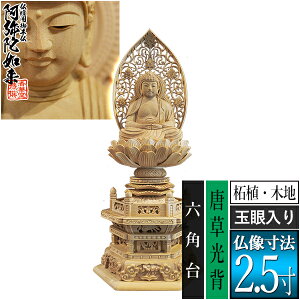 �y���ؓ�������d�p�䕧���z�y�V��@�p�z����� �ѐA��(�ؒn) [�ʊ����] 2.5���������w �Z�p�� [�S��300×��134×���s105mm]����ɔ@��/����ɕ�/����ɍ���/����ɍ����y�[���ڈ��F�ʏ�3�`5�c