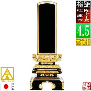 y{zy앪 㖳zÈʔv [ōi]CF ɏq@ {(ʕ)4.5F22.3cmy[ڈFʏ12`14cƓz