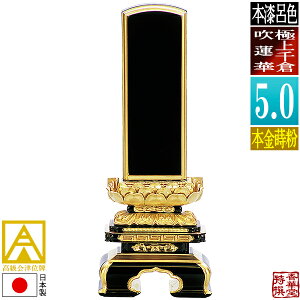 y{zy앪 㖳zÈʔv [ōi]CF ɏq@ {(ʕ)5.0F24.4cmy[ڈFʏ12`14cƓz