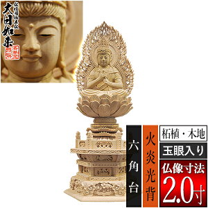 yؓdp䕧zy^@pz@ ѐA(ؒn) [ʊ] 2.0Ήw Zp [S246×115×s88mm]dḎՓߔ@/Տ//y[ڈFʏ3`5c