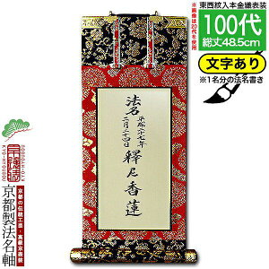 yszy@㍞(1)z@ 100 {D@d({̎qEn)yzyzI𕶎CAEgύX\ElɗvLy[ڈFʏ18`20cƓ