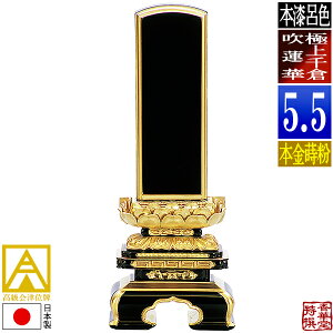 y{zy앪 㖳zÈʔv [ōi]CF ɏq@ {(ʕ)5.5F27.1cmy[ڈFʏ12`14cƓz