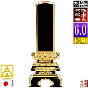 y{zy앪 㖳zÈʔv [ōi]CF ɏq@ {(ʕ)6.0F28.6cmy[ڈFʏ12`14cƓz