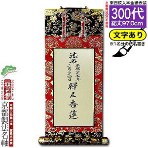 yszy@㍞(1)z@ 300 {D@d({̎qEn)yzyzI𕶎CAEgύX\ElɗvLy[ڈFʏ18`20cƓ