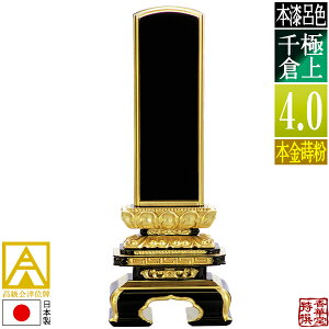y{zy앪 㖳zÈʔv [ōi]CF ɏq {(ʕ)4.0F19.6cmy[ڈFʏ12`14cƓz