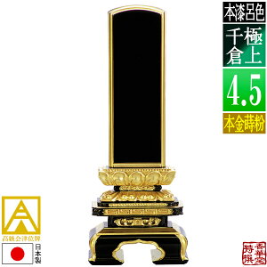 y{zy앪 㖳zÈʔv [ōi]CF ɏq {(ʕ)4.5F21.9cmy[ڈFʏ12`14cƓz