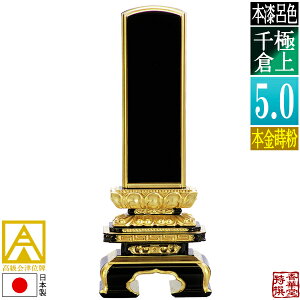y{zy앪 㖳zÈʔv [ōi]CF ɏq {(ʕ)5.0F24.0cmy[ڈFʏ12`14cƓz