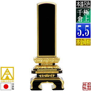 y{zy앪 㖳zÈʔv [ōi]CF ɏq {(ʕ)5.5F26.9cmy[ڈFʏ12`14cƓz