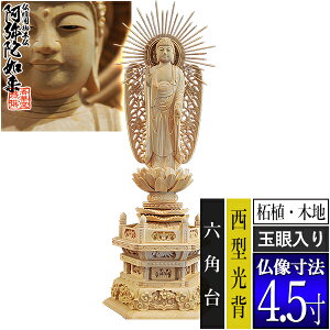yؓdp䕧zyy^@()pz ѐA(ؒn) [ʊ] 4.5^w Zp [S332×124×s90mm]y^@{莛h/ɔ@/ɗy[ڈFʏ3`5