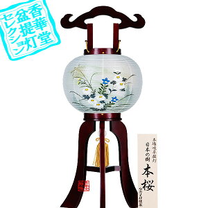 y~񓔁zs(3{) w{̎xǂ8 {ؐ[}UN]/d[GFeR]60cm×Α܌a()24cm{AS}y[ڈFʏ3`5cƓz
