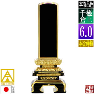 y{zy앪 㖳zÈʔv [ōi]CF ɏq {(ʕ)6.0F28.3cmy[ڈFʏ12`14cƓz
