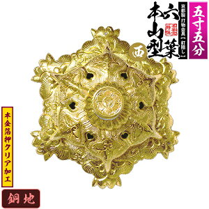 �y���s�� �D����z�B�B�� �Z�t [��]�{�R�^ �~���� 5.5�����n�ɖ{������&�N���A���H���B�t���y�[���ڈ��F�ʏ��2�T�Ԍ㔭���z