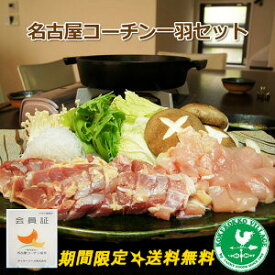 楽天市場 名古屋コーチン すき焼きの通販 楽天市場 名古屋コーチン すき焼きの通販