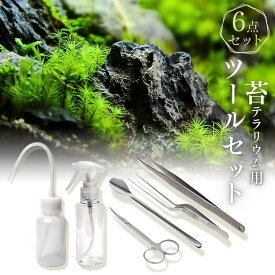 【 苔テラリウム ツールセット 】6点セット 4点セット 苔むすび 初心者向け 制作 メンテナンス 水やり 本格的ツール 苔用キット ピンセット スプーン 水差し・霧吹きつき