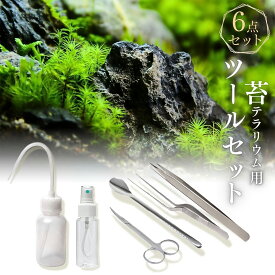 【 苔テラリウム ツールセット 】6点セット 4点セット 苔むすび 初心者向け 制作 メンテナンス 水やり 本格的ツール 苔用キット ピンセット スプーン 水差し・霧吹きつき