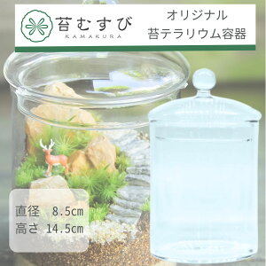 y ۃeEe LjX^[Lz KX t^ ۂނ IWie KXe