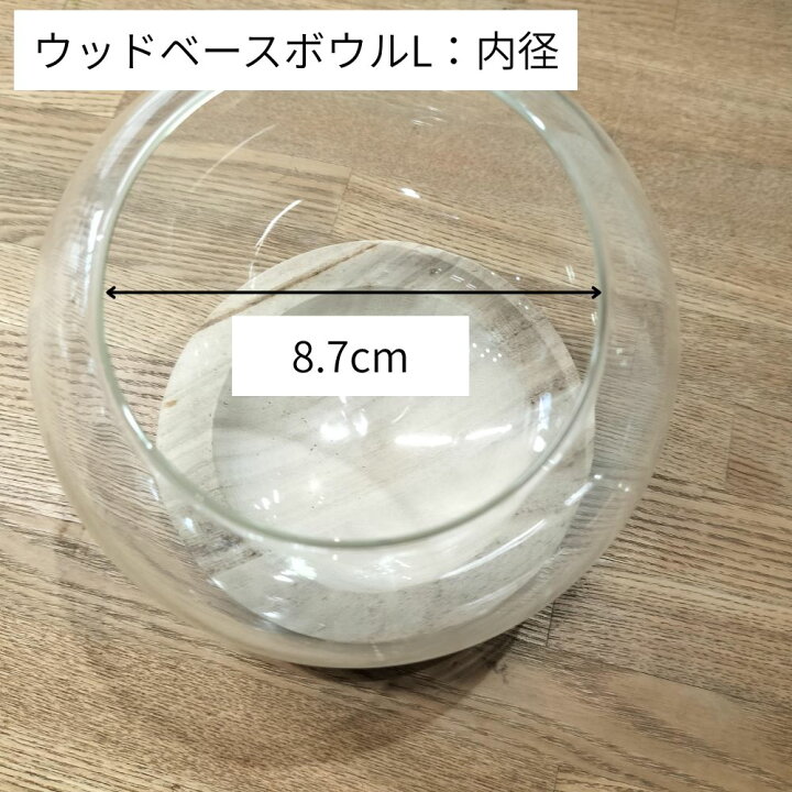 楽天市場】容器_ウッドベースボウル テラリウム フタ付き 苔テラリウム 