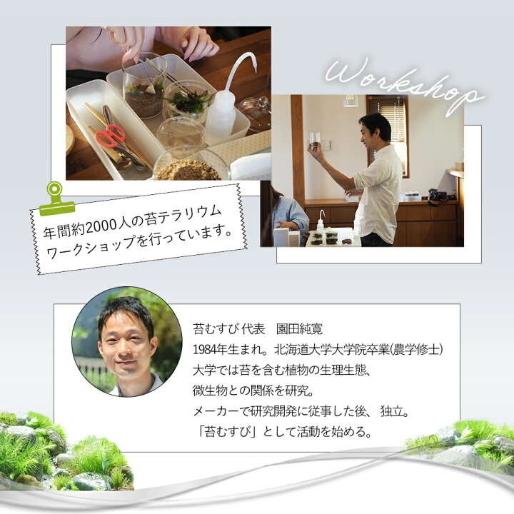 楽天市場】苔むすびオリジナル [フィギュア 山ガール/山ボーイ] 苔 
