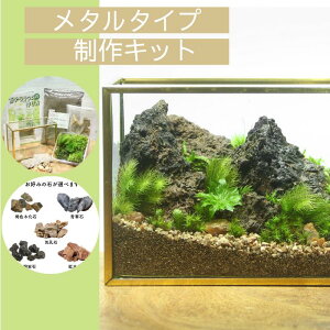 【メタルL 苔テラリウム制作キット】苔 テラリウム キット 初心者 セット ガラス 容器 プレゼントセミオープン 苔玉 作り方 育て方 インテリア 退職祝い 誕生日 盆栽 植物 ジオラマ ミニチュ