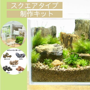 _^yXNGA{bNX ۃeELbgz eE Lbg S Zbg KX e v[gZ~I[v ۋ  ĕ CeA ސEj a ~ 