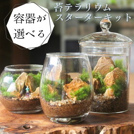 苔むすび 初心者向け [スターターキット] 育て方・作り方・動画付き｜3種類の容器から選べる入門セット